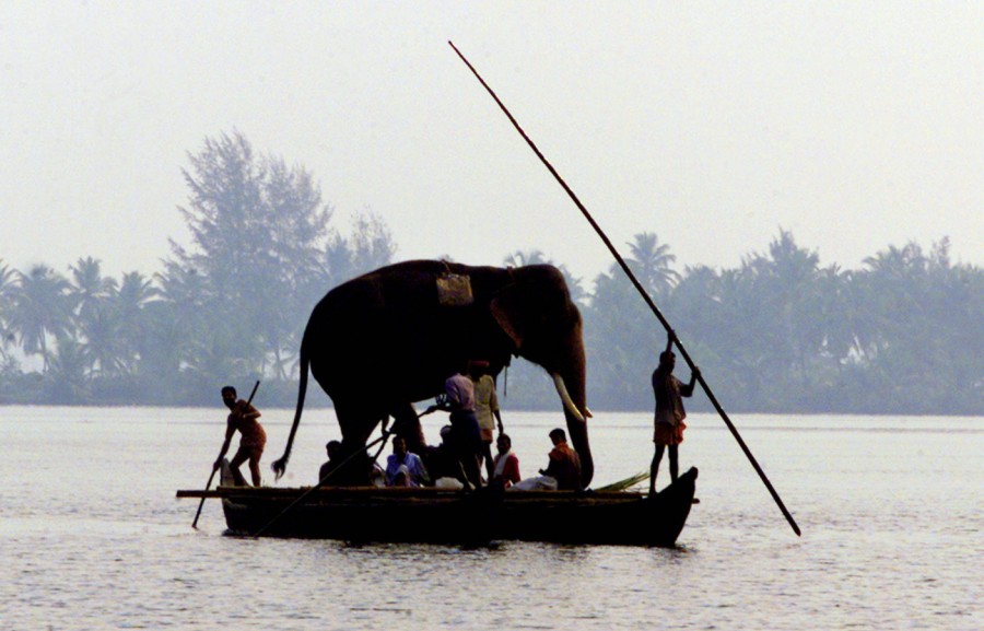 kerala aana on boat Pfarrgemeinde St. Ludger Selm